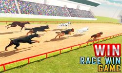  Dog Racing Stunt and Jump 3D Sim screenshot 1/5