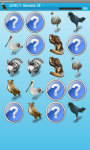 Dangerous Birds Game Free screenshot 3/4