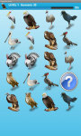 Dangerous Birds Game Free screenshot 4/4