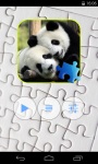 Panda Jigsaw Puzzle screenshot 1/6