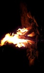 Fireplaces and Campfires screenshot 4/5