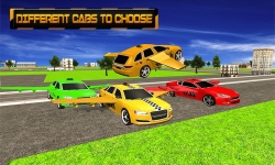 Flying Taxi: Real Pilot 3D screenshot 5/5
