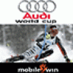 AudiWorldCup screenshot 1/1