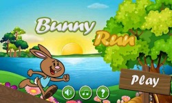 Bunny Run Game screenshot 1/1