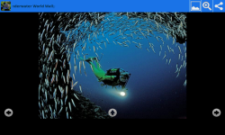 Underwater World Beauty Wallpapers screenshot 5/6
