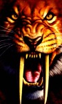 Tiger Tooth Live Wallpaper screenshot 1/3