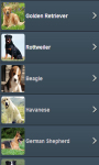 Dog Breed Quiz - Dogs Guide Training and Names screenshot 2/3