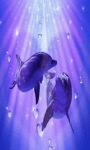 Blue Dolphin Live Wallpaper screenshot 1/3