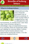 Benefits of Iceberg  lettuce screenshot 3/3