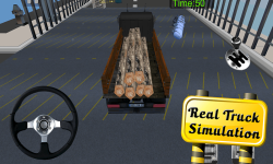 Real Cargo Service - Parking screenshot 3/6