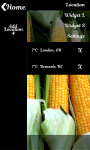 Corn Weather Clock Widget screenshot 2/6