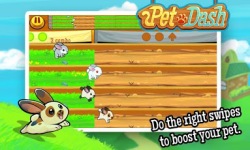 Pet Dash new Game screenshot 2/6