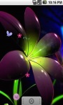 Flower 3D Butterflies Live Wallpaper screenshot 1/5