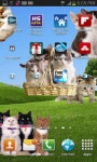 Cute Cats On Your Phone LWP FREE screenshot 2/5