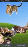 Cute Cats On Your Phone LWP FREE screenshot 3/5