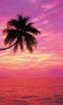 Beautiful Sunset Beach views Live Wallpaper screenshot 6/6