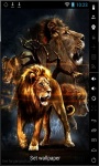 Amazing Lions Live Wallpaper screenshot 1/2
