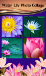 Water Lily Photo Collage screenshot 1/6