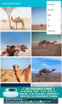 camel around the world 4K  screenshot 3/6