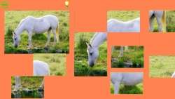Horse Puzzle For Kids screenshot 3/4