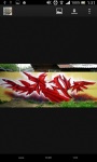 Graffiti Wallpapers FHD screenshot 3/6