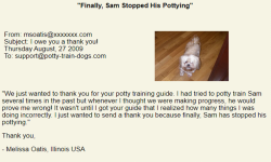 Learn How To House Train Any Dog Easy screenshot 1/2