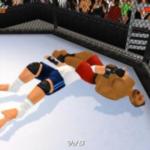 Wrestling Revolution 3D  screenshot 1/3
