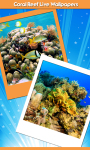 Coral Reef Live Wallpapers New screenshot 1/6