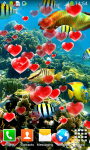 Coral Reef Live Wallpapers New screenshot 3/6