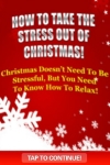 Take The Stress Out Of Christmas! screenshot 1/1