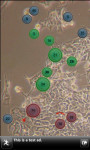 Cell Defense screenshot 2/3