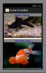Variety Of Goldfish screenshot 2/3