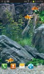 Goldfish in Your Aquarium LWP free screenshot 3/3