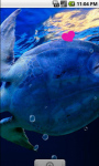 Turtle Underwater Live Wallpaper screenshot 1/4