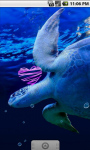 Turtle Underwater Live Wallpaper screenshot 2/4