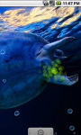 Turtle Underwater Live Wallpaper screenshot 3/4