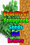 Benefits of Fenugreek Seeds and Leaves screenshot 1/3