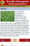 Benefits of Fenugreek Seeds and Leaves screenshot 3/3