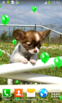 Best Puppies Live Wallpapers screenshot 2/6