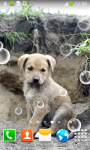 Best Puppies Live Wallpapers screenshot 6/6