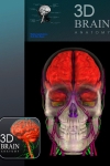 3D Brain ANATOMY screenshot 1/1