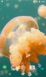 Jellyfishes Video Live Wallpaper screenshot 2/4