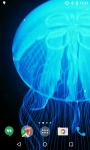 Jellyfishes Video Live Wallpaper screenshot 4/4