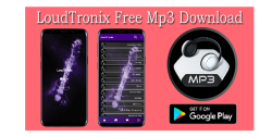 LoudTronix Mp3 Downloader screenshot 1/6