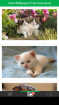 Free Download Cats Wallpaper  screenshot 2/6