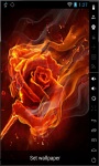 Rose On Fire Final Live Wallpaper screenshot 2/2