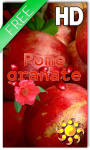 Fruit Pomegranate LWP screenshot 1/2
