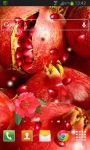 Fruit Pomegranate LWP screenshot 2/2