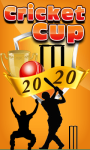 Cricket Cup 20-20 screenshot 1/1