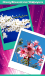 Free Cherry Blossom Live Wallpapers screenshot 1/6